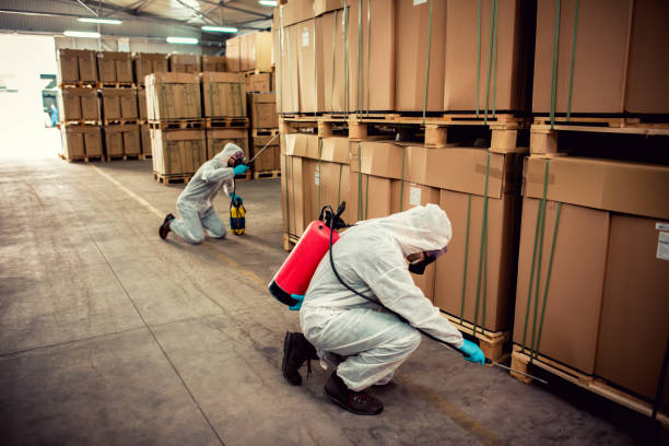 Best Pest Removal Services  in La Plata, MO