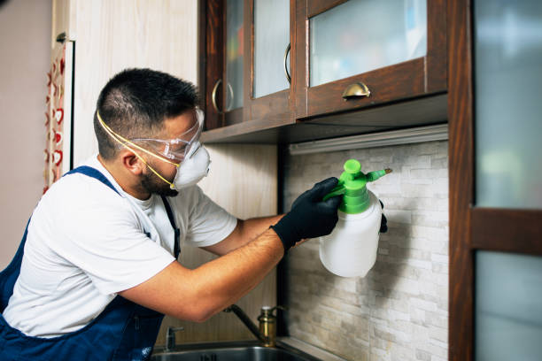 Flea Control Services in La Plata, MO