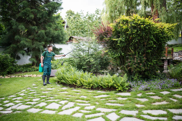 Best Ant Control Services  in La Plata, MO