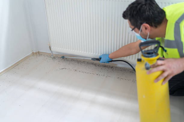Best Pest Control for Restaurants  in La Plata, MO