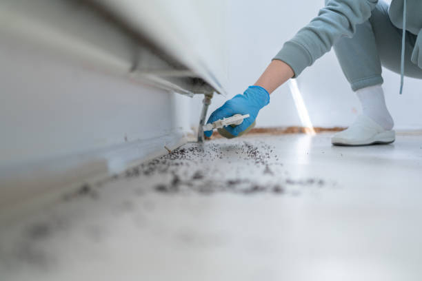 Professional Pest Control in La Plata, MO