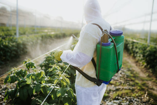 Best Local Pest Control Services  in La Plata, MO